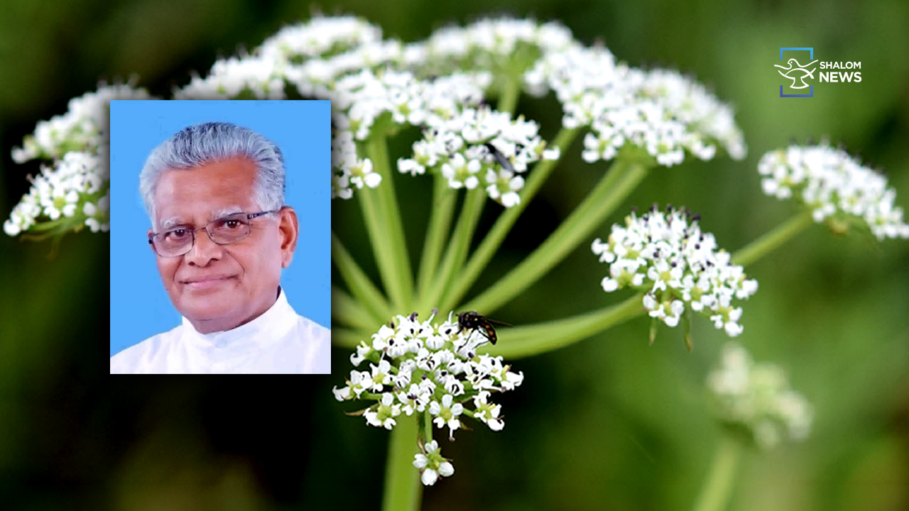 New plant species named in honour of Fr. Joseph Paikada
