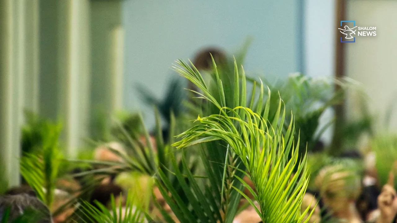 Jerusalem Palm Sunday procession cancelled