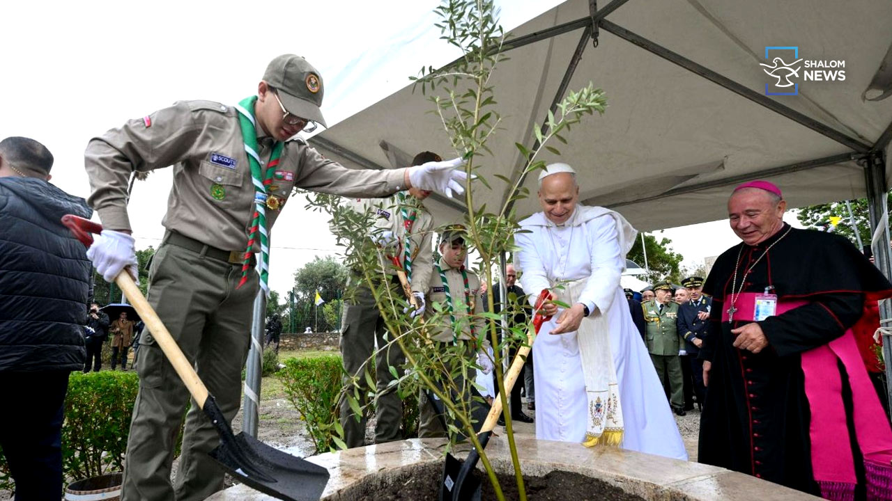 Pope plants olive tree peace St Augustine city