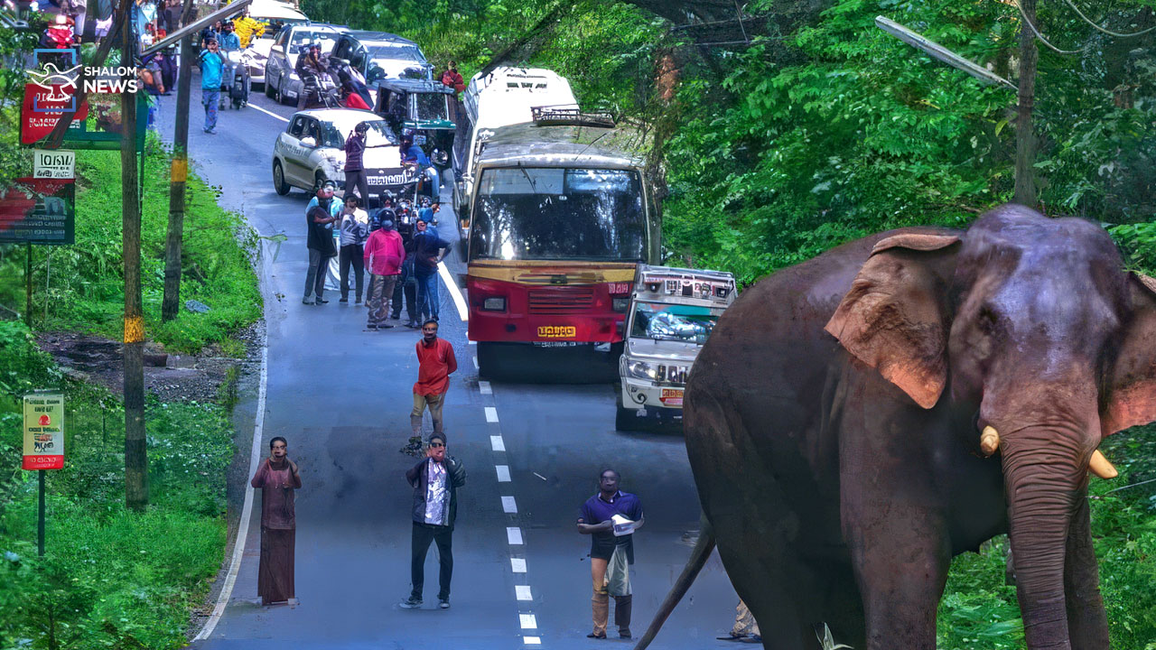 How long will Keralites live in fear of wild animals